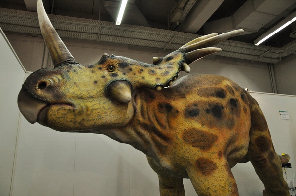 ABF 2010   133.jpg